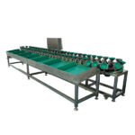 Rotating Trays Weight Grader for Fruits